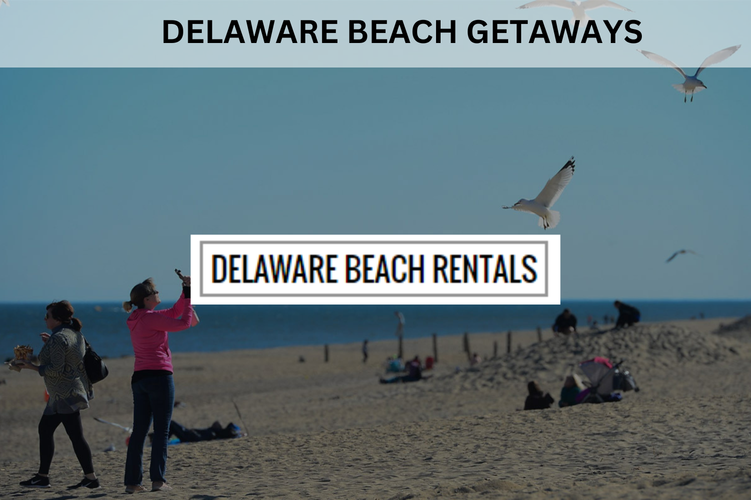 delawarebeachgetaways.com